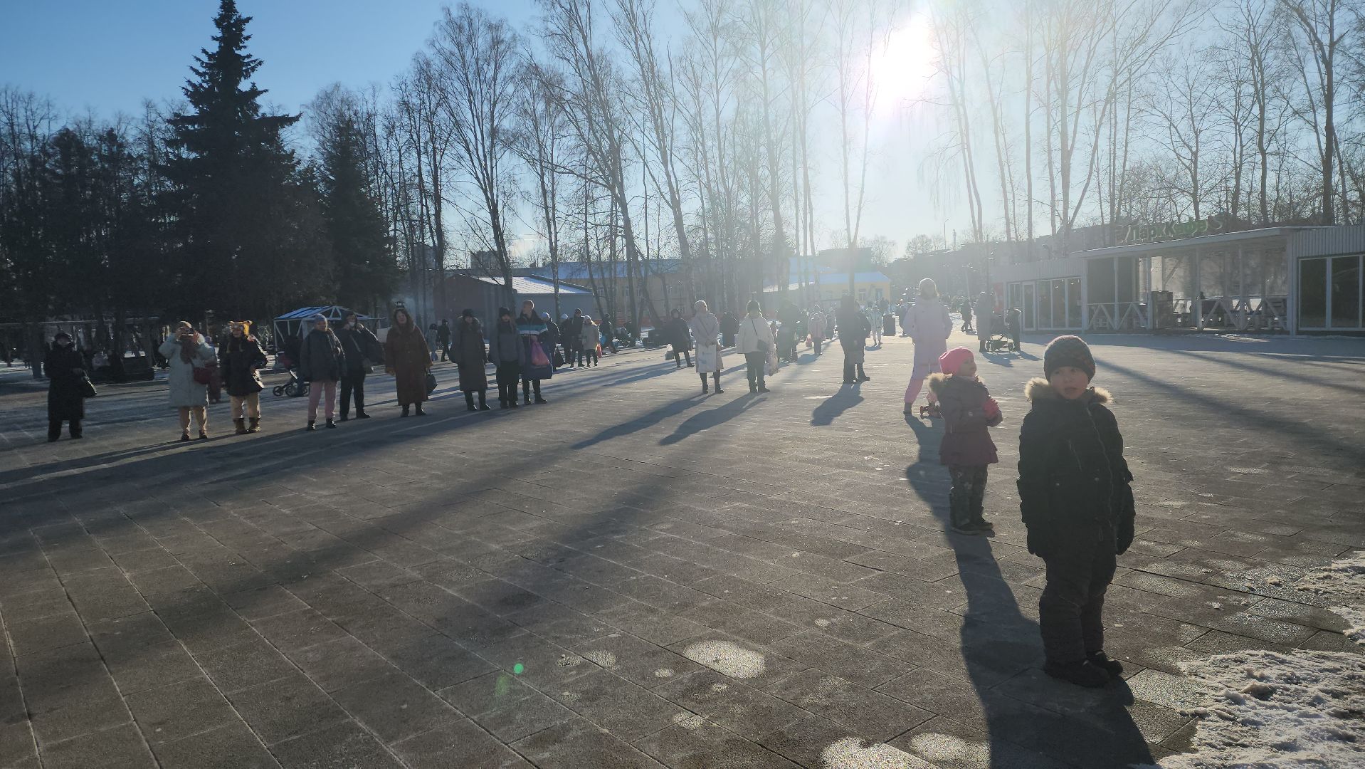 пушкино, концерт, день защитника отечества, центральный парк, лауреаты, артисты, патриотический концерт,