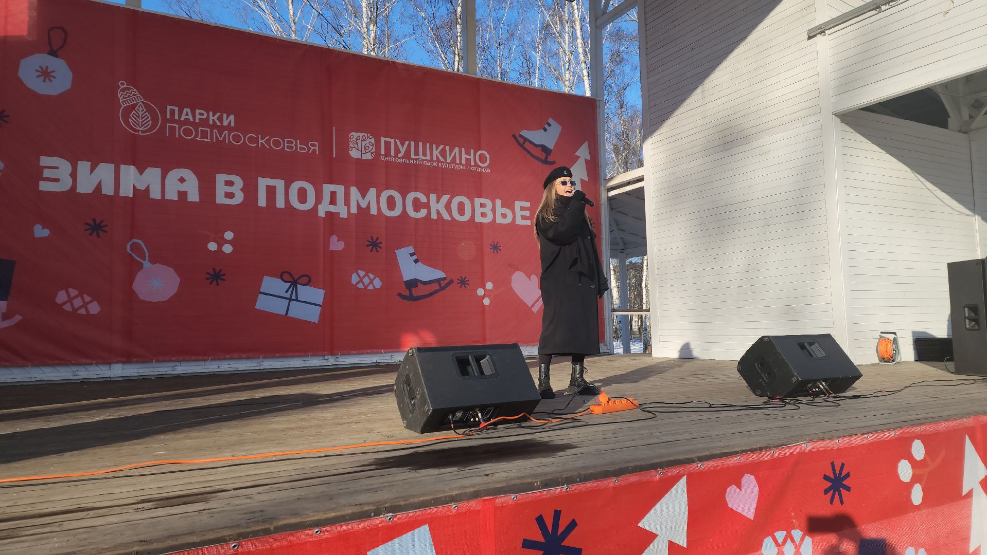 пушкино, концерт, день защитника отечества, центральный парк, лауреаты, артисты, патриотический концерт,