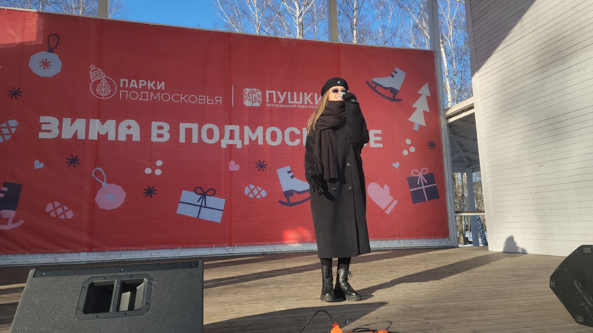 пушкино, концерт, день защитника отечества, центральный парк, лауреаты, артисты, патриотический концерт,