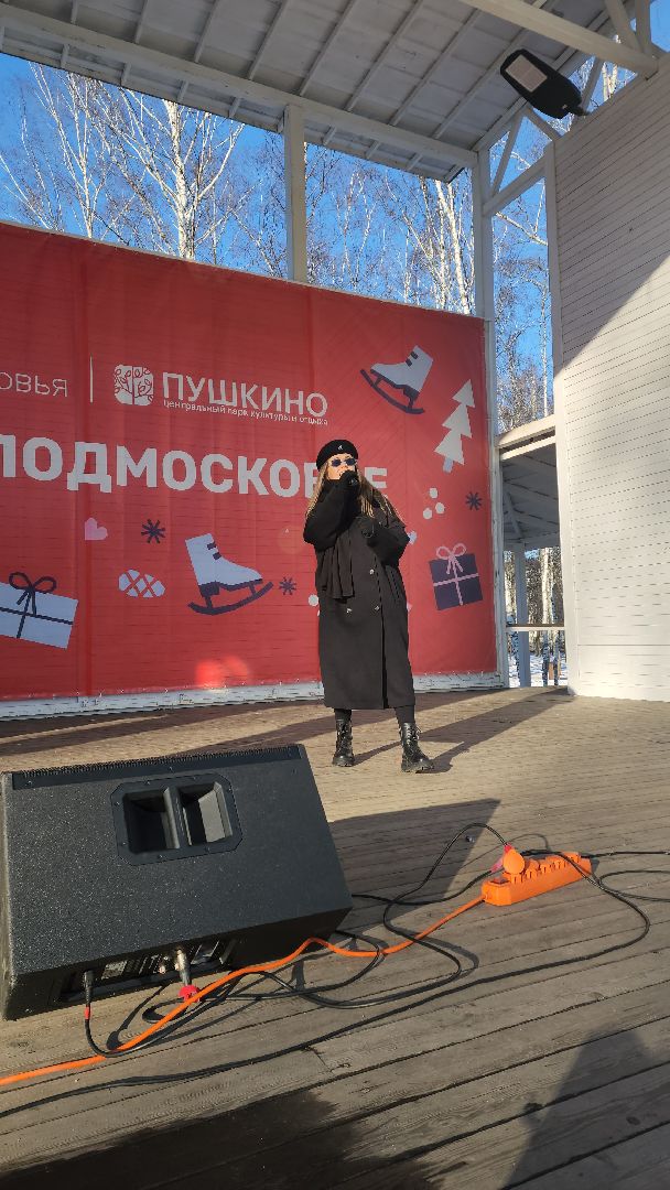 пушкино, концерт, день защитника отечества, центральный парк, лауреаты, артисты, патриотический концерт,