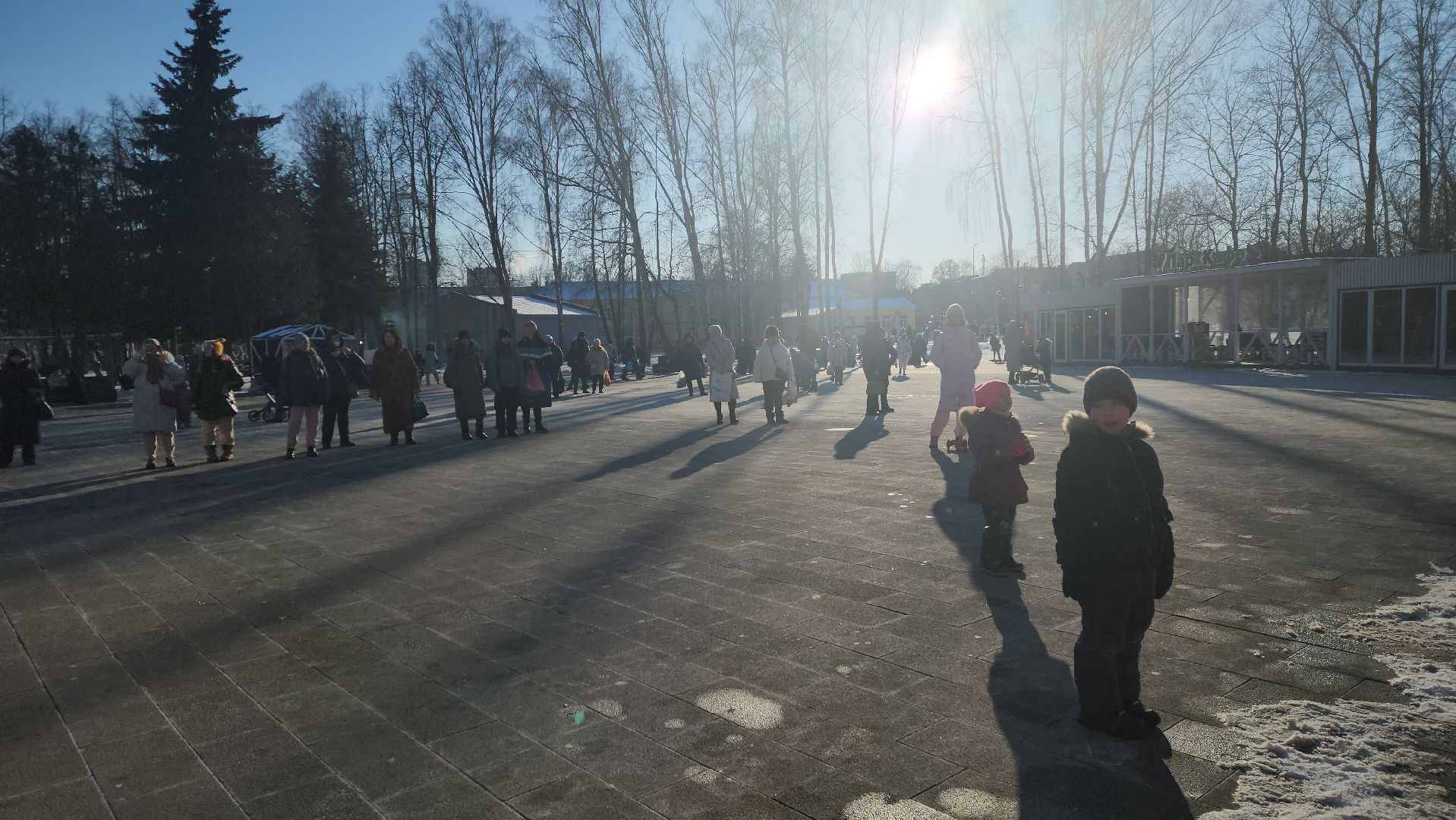 пушкино, концерт, день защитника отечества, центральный парк, лауреаты, артисты, патриотический концерт,