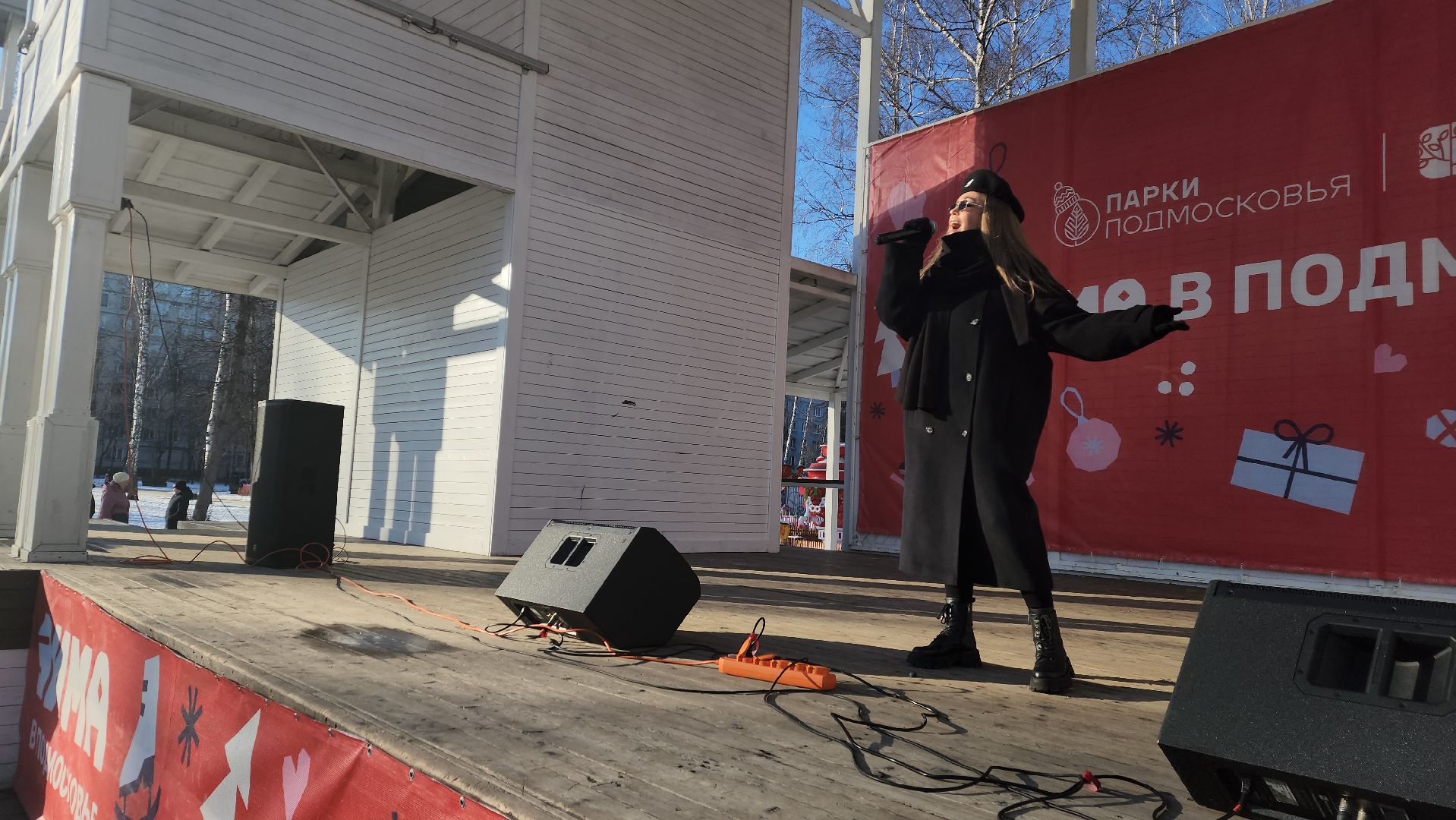 пушкино, концерт, день защитника отечества, центральный парк, лауреаты, артисты, патриотический концерт,