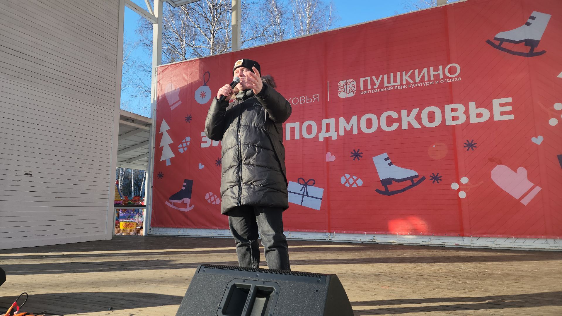 пушкино, концерт, день защитника отечества, центральный парк, лауреаты, артисты, патриотический концерт,