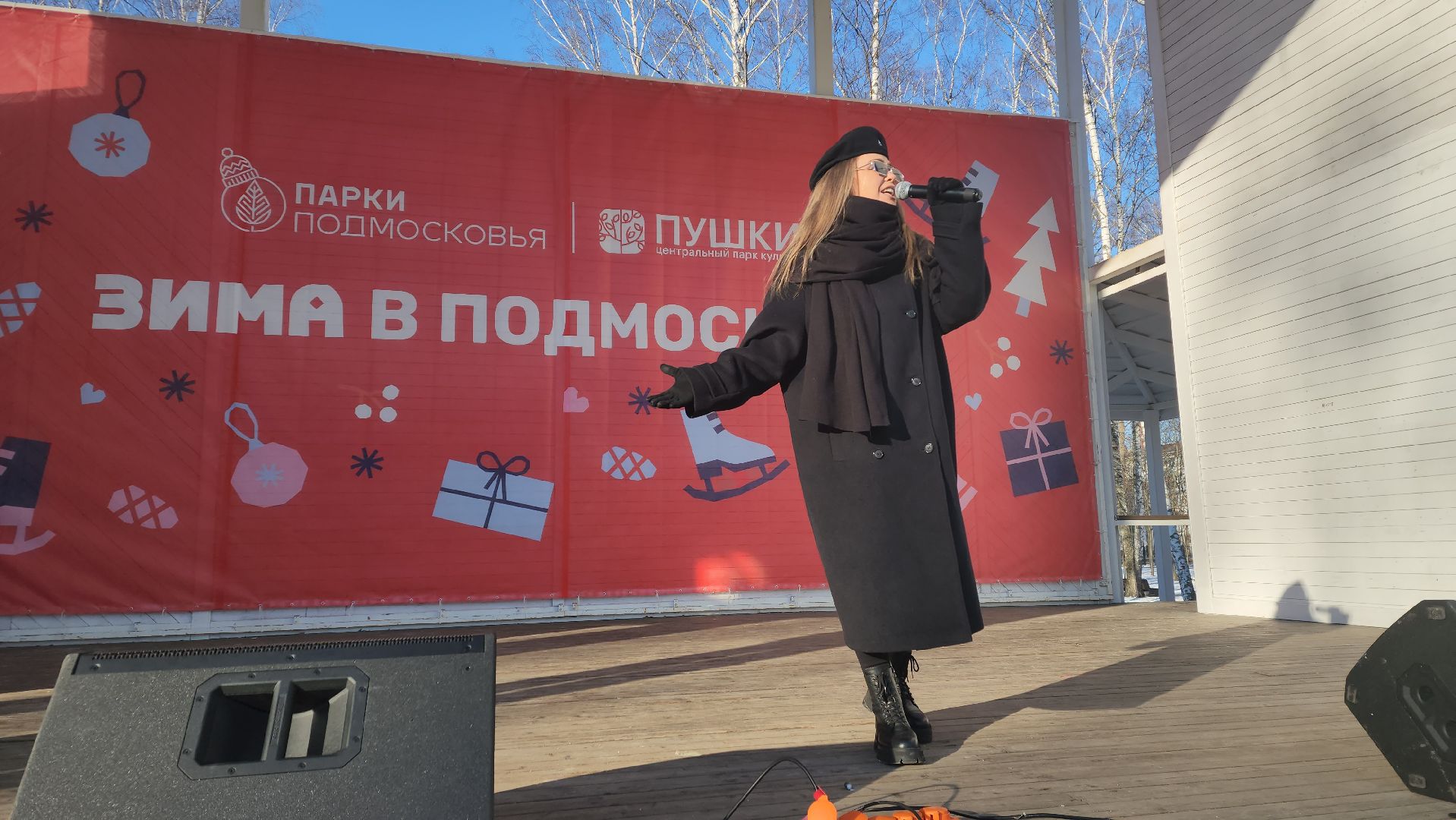 пушкино, концерт, день защитника отечества, центральный парк, лауреаты, артисты, патриотический концерт,