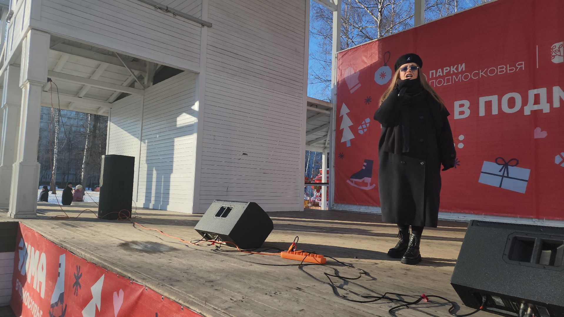 пушкино, концерт, день защитника отечества, центральный парк, лауреаты, артисты, патриотический концерт,