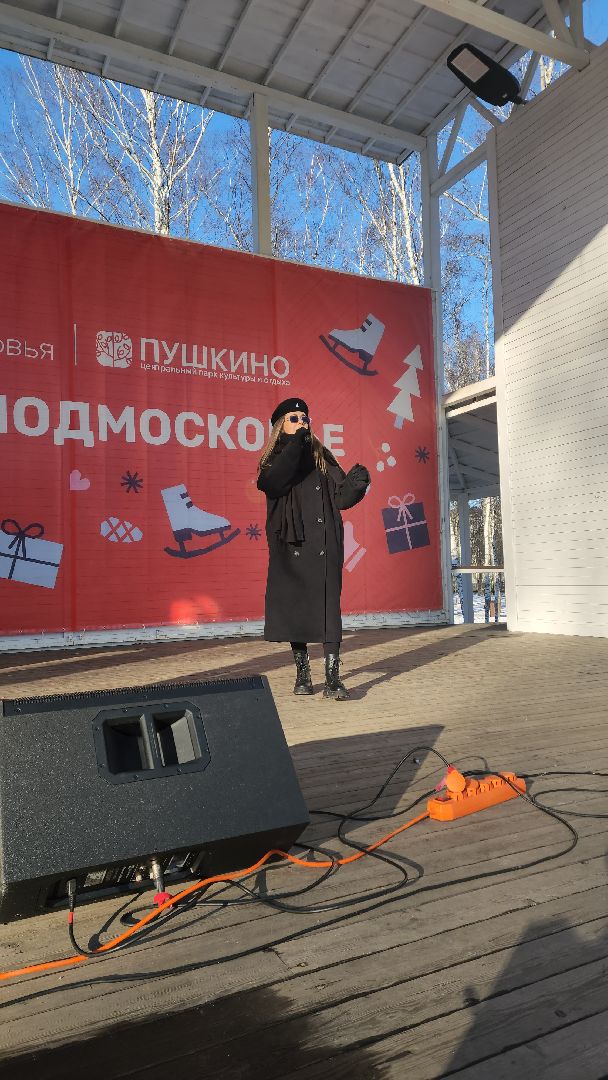 пушкино, концерт, день защитника отечества, центральный парк, лауреаты, артисты, патриотический концерт,