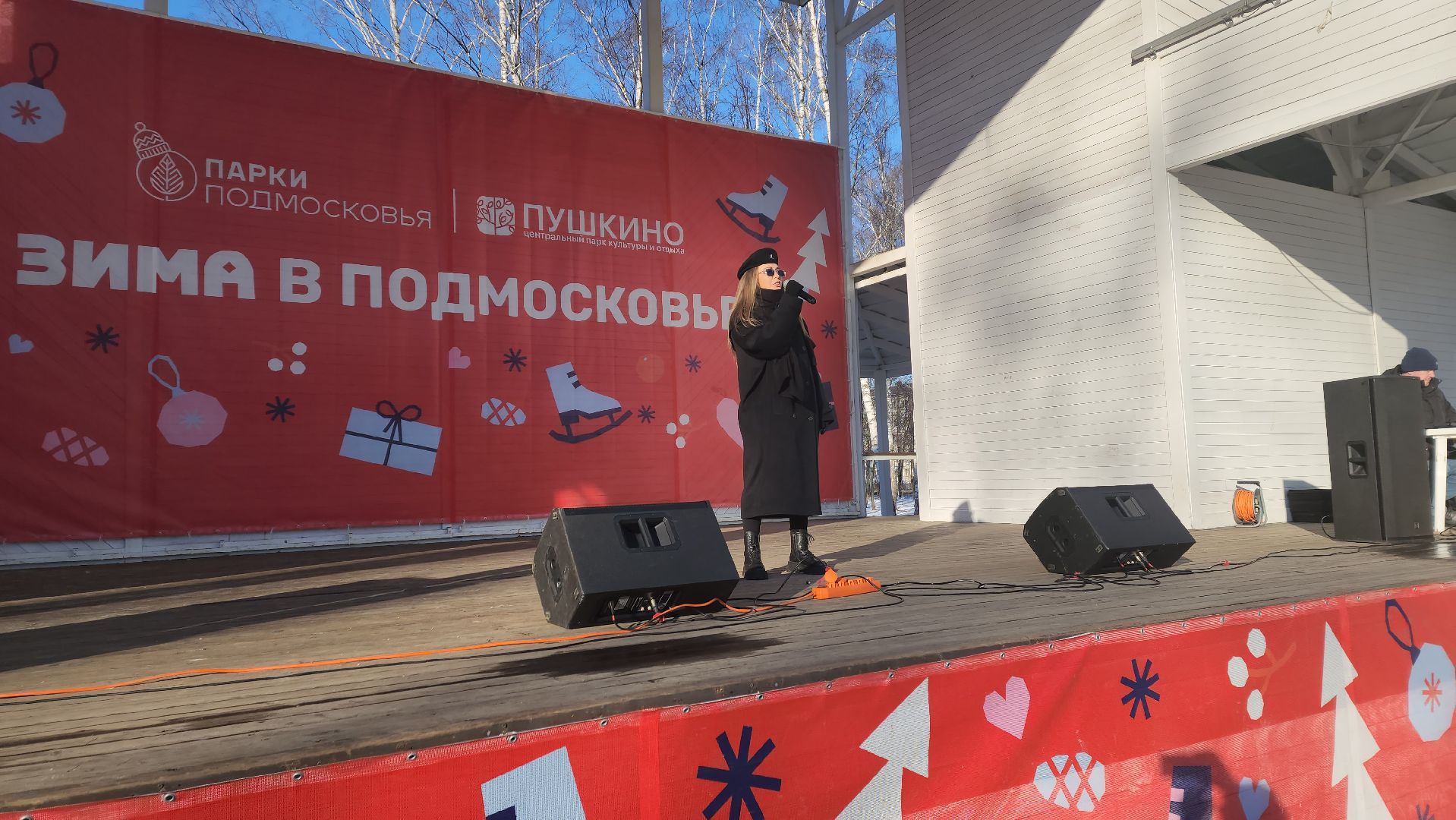 пушкино, концерт, день защитника отечества, центральный парк, лауреаты, артисты, патриотический концерт,