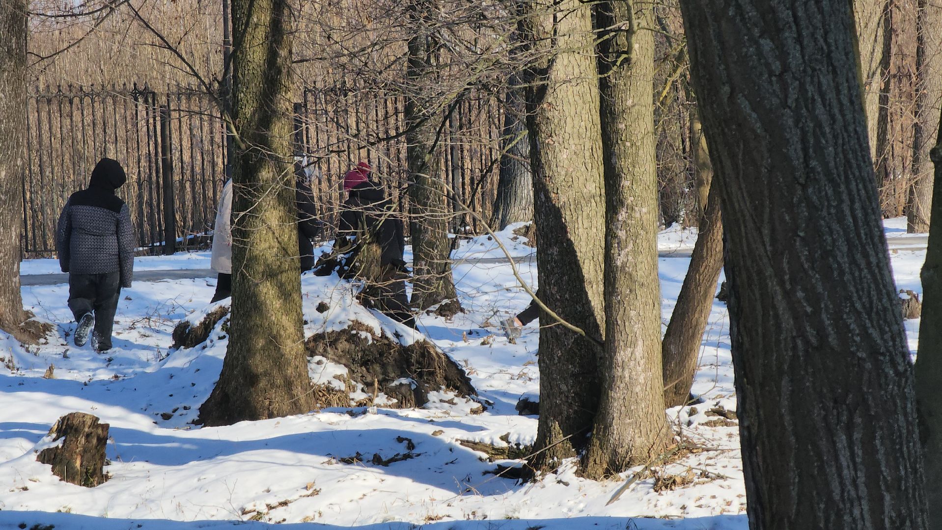 день защитника отечества, шатурский парк, шатура, спортивное ориентирование,