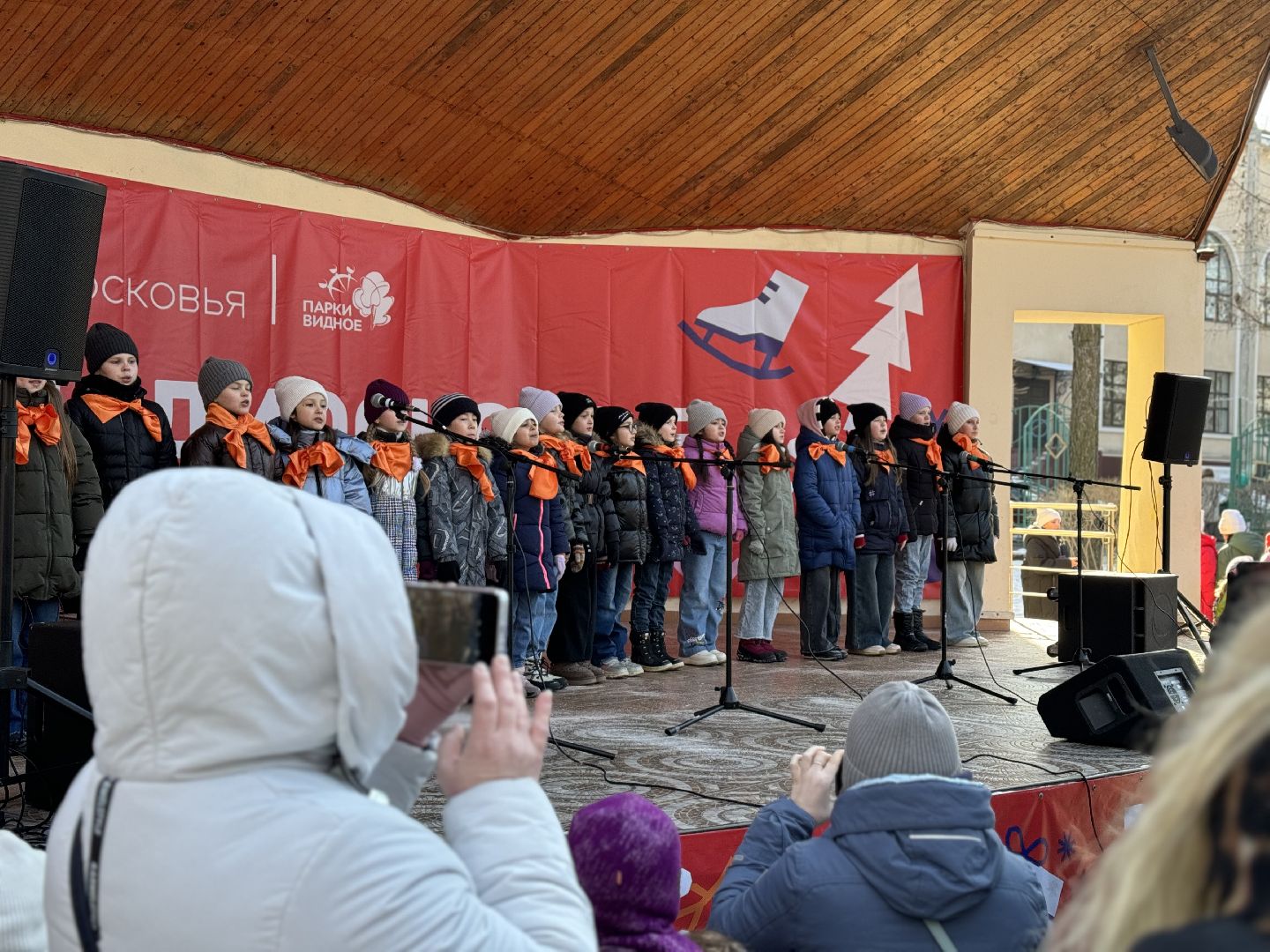 зима в подмосковье, парки подмосковья, развлекательная программа, разрешите поздравить, день защитника отечества, вертикалки,