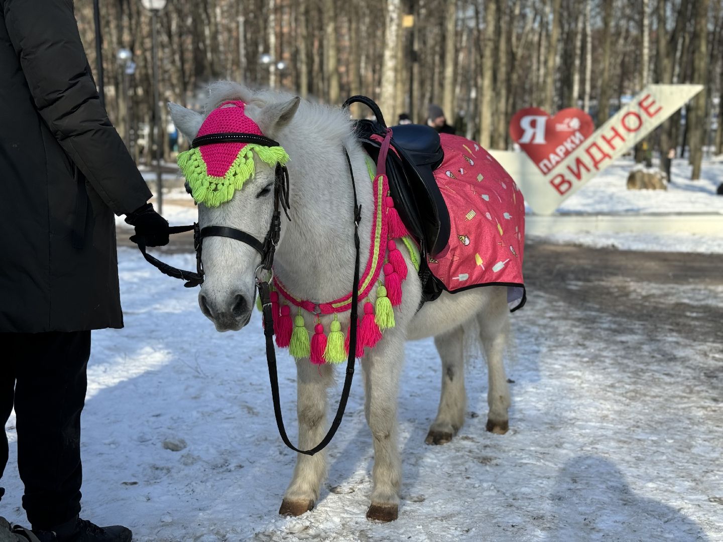 зима в подмосковье, парки подмосковья, развлекательная программа, разрешите поздравить, день защитника отечества, вертикалки,