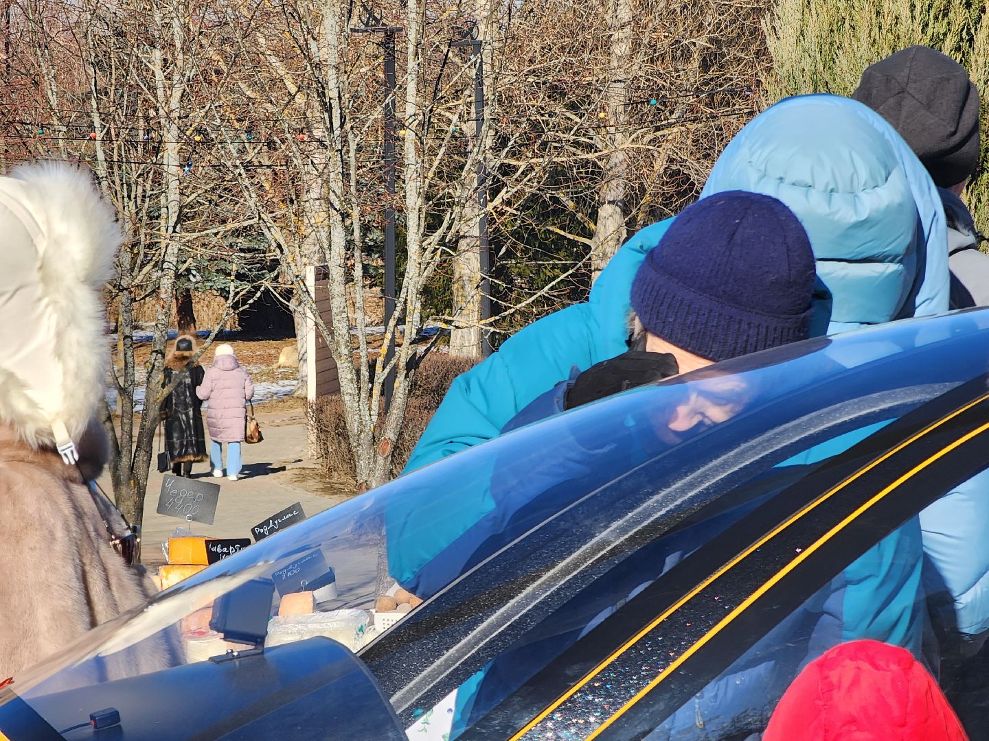 Дубна, разрешите поздравить, Городские парки, союз женщин россии, вертикалки,