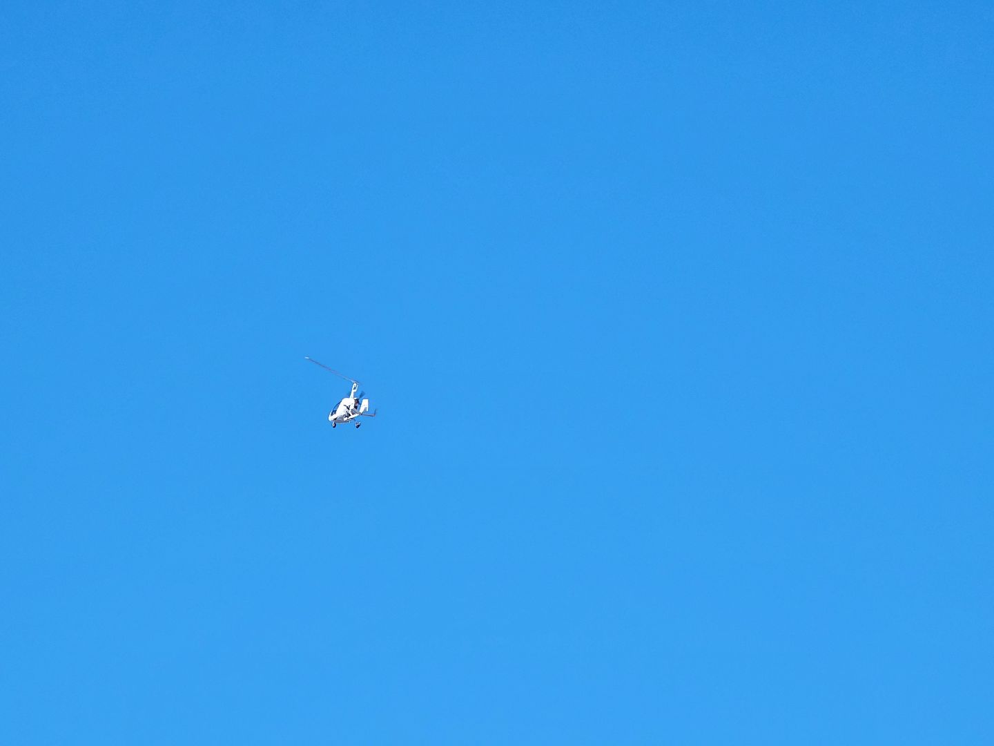 Дубна, разрешите поздравить, Городские парки, союз женщин россии, вертикалки,