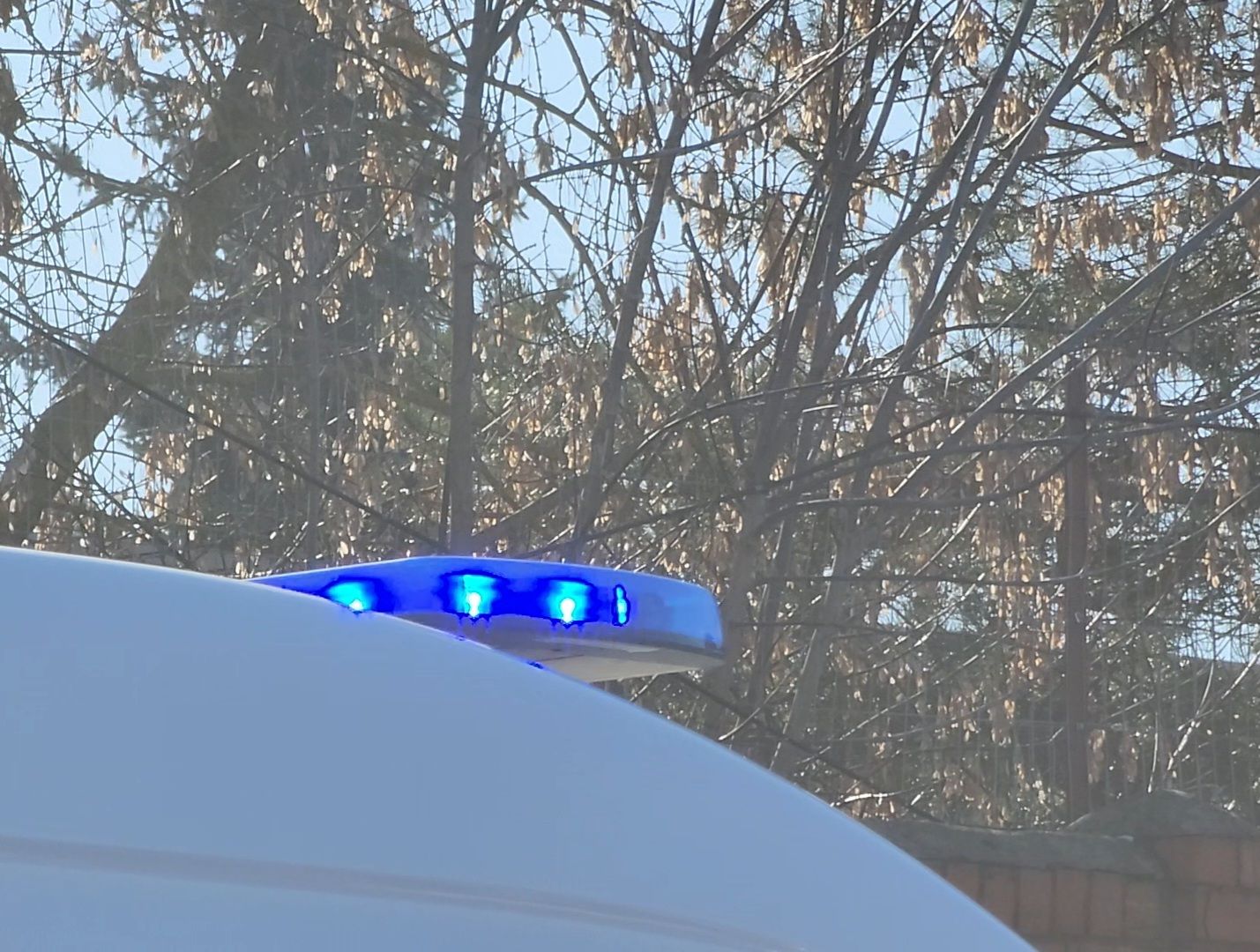 Дубна, разрешите поздравить, Городские парки, союз женщин россии, вертикалки,