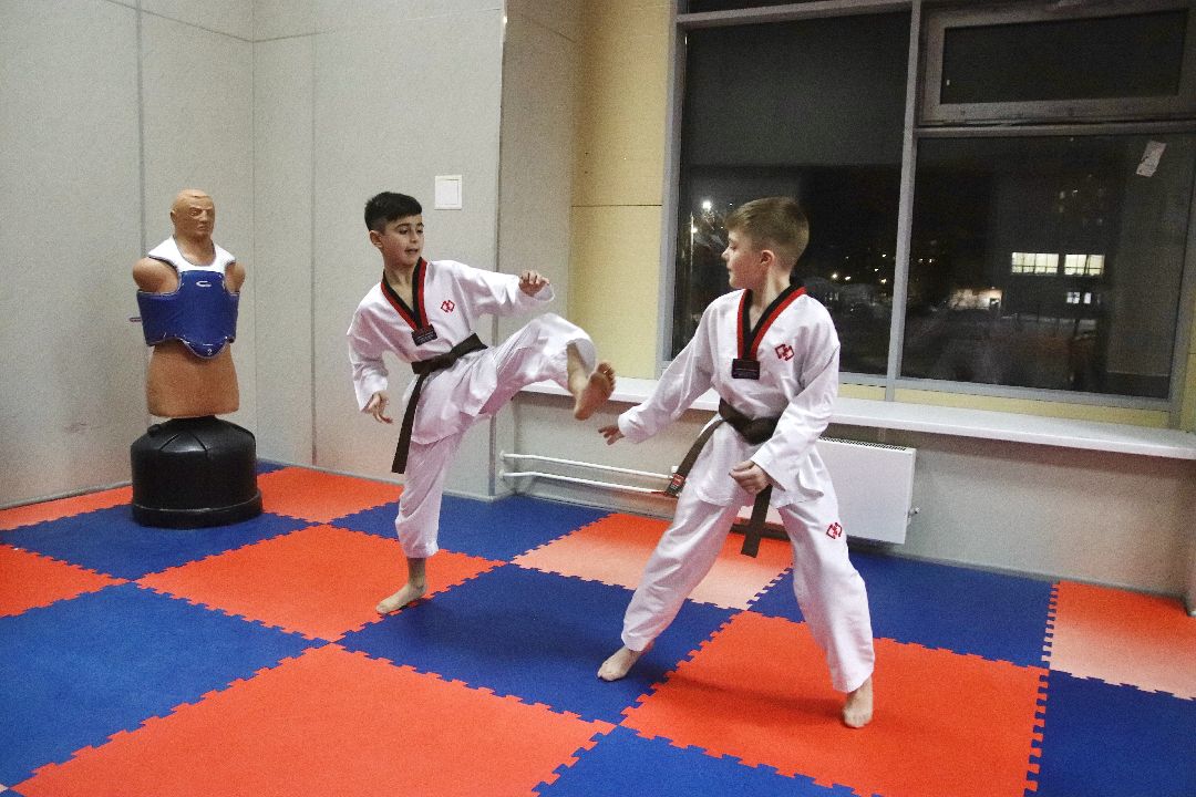 Фрязино, общество