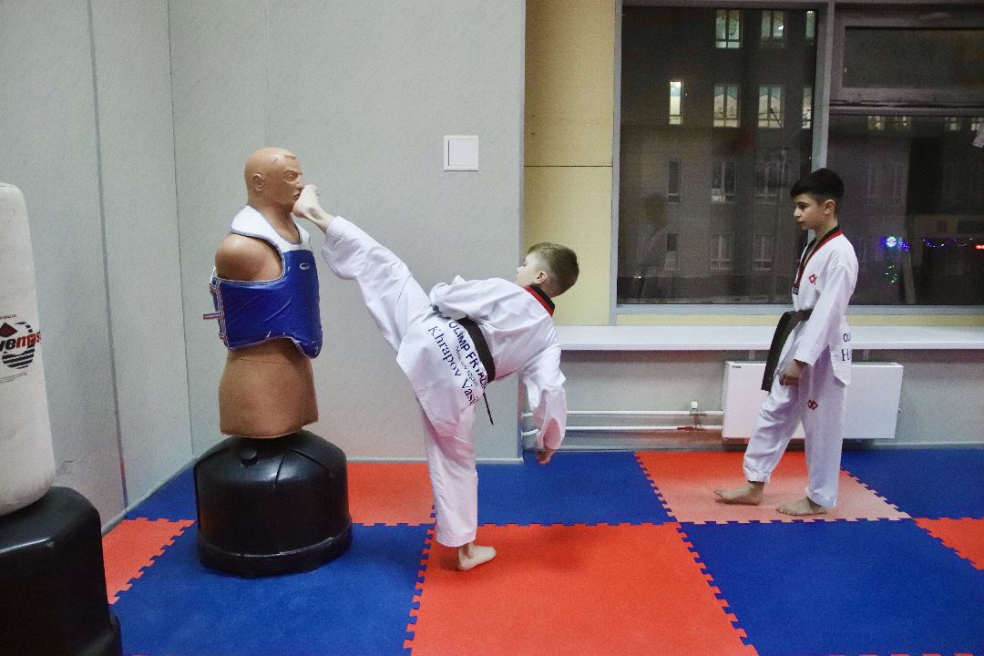 Фрязино, общество