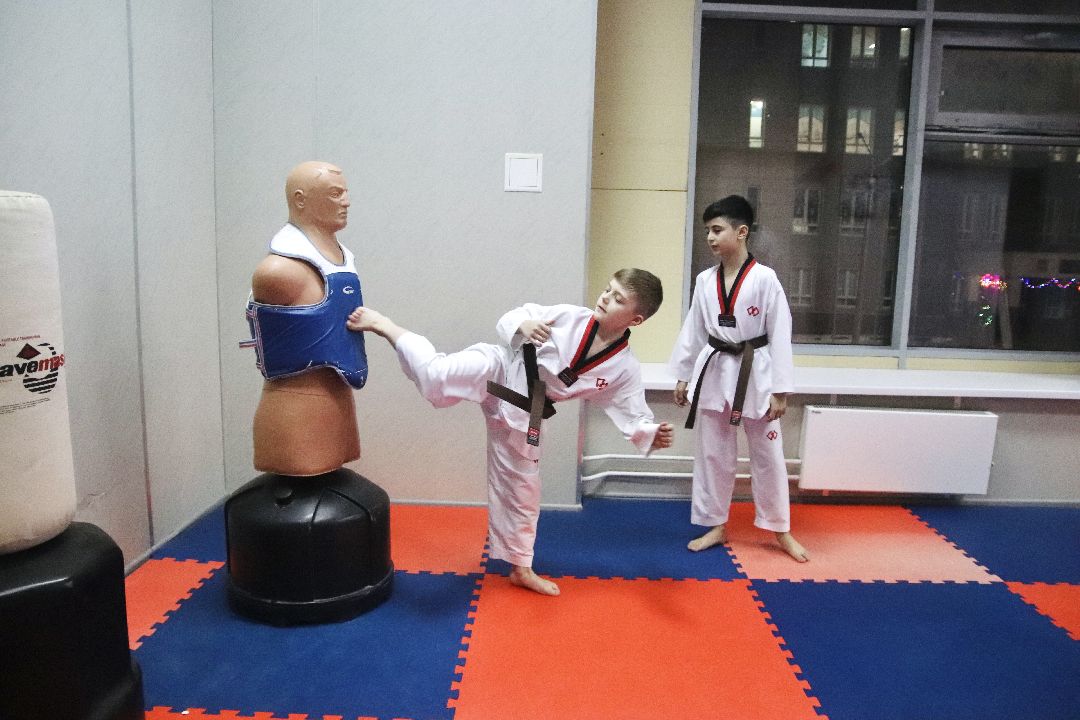 Фрязино, общество