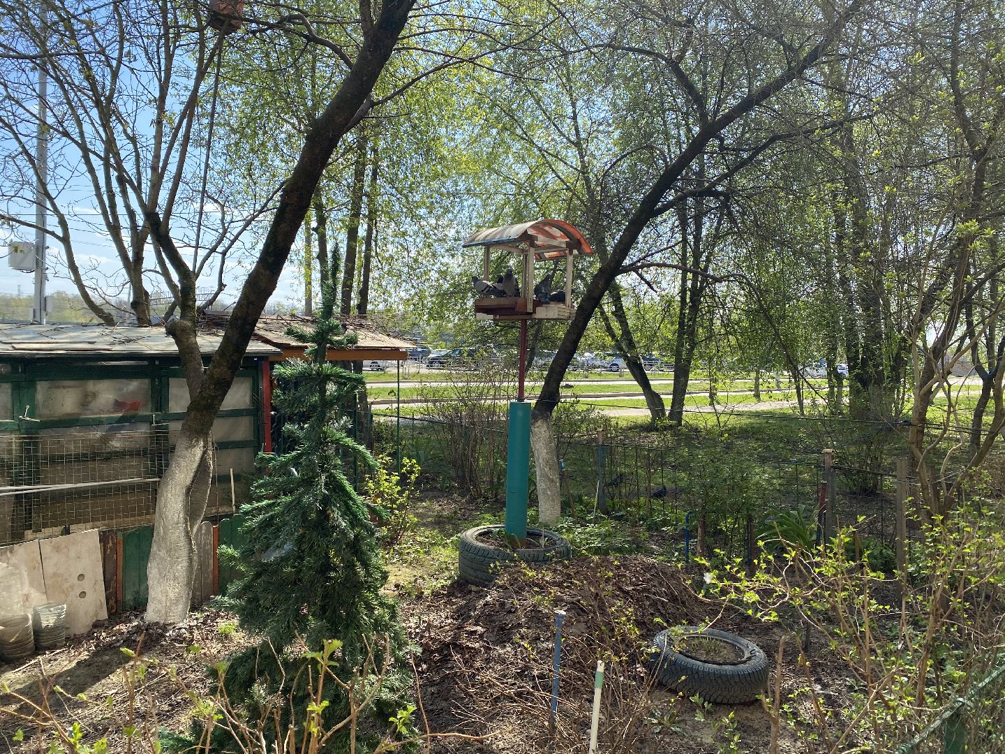 Чехов, благоустройство, дворик, житель, МКД