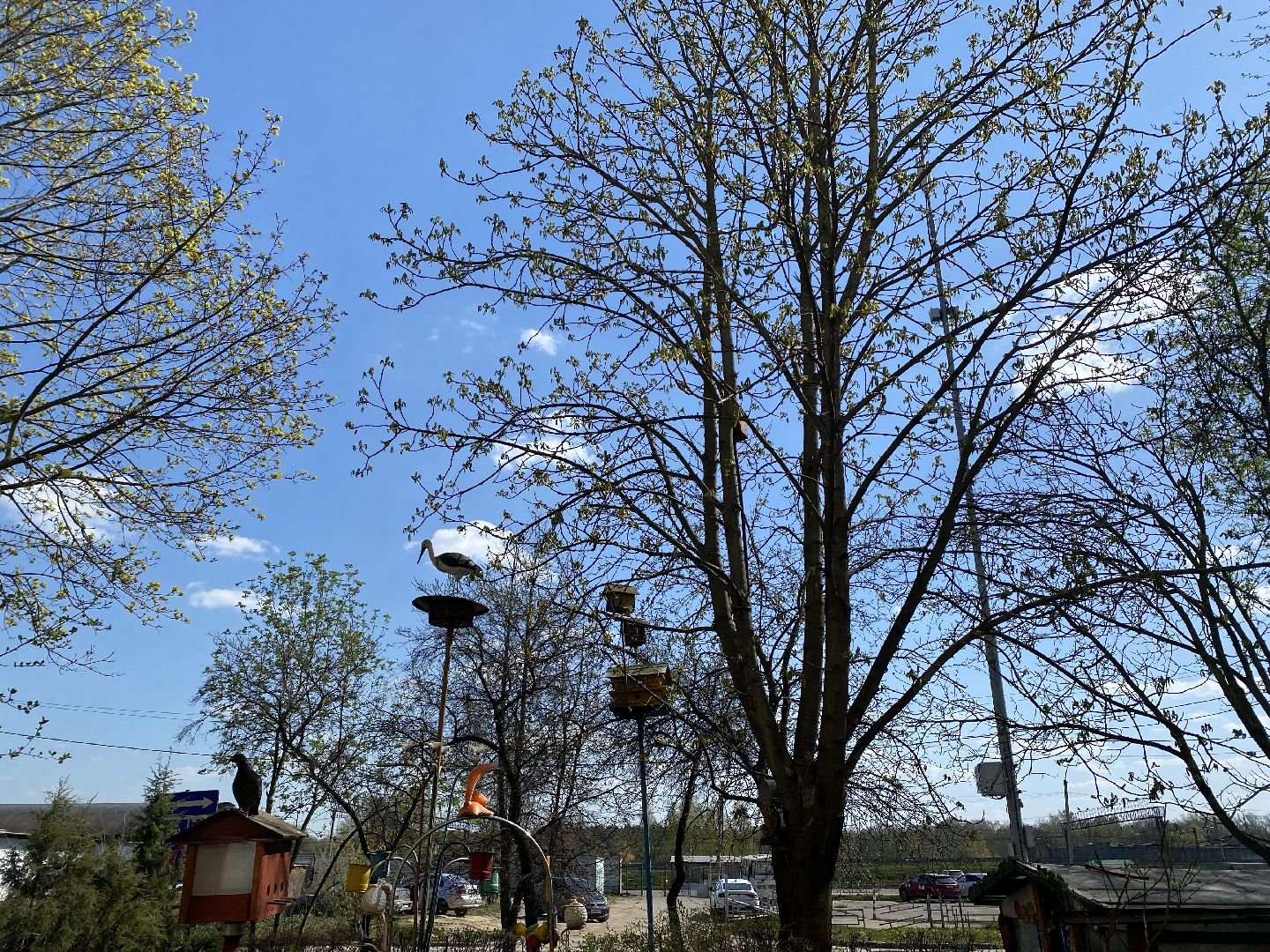 Чехов, благоустройство, дворик, житель, МКД