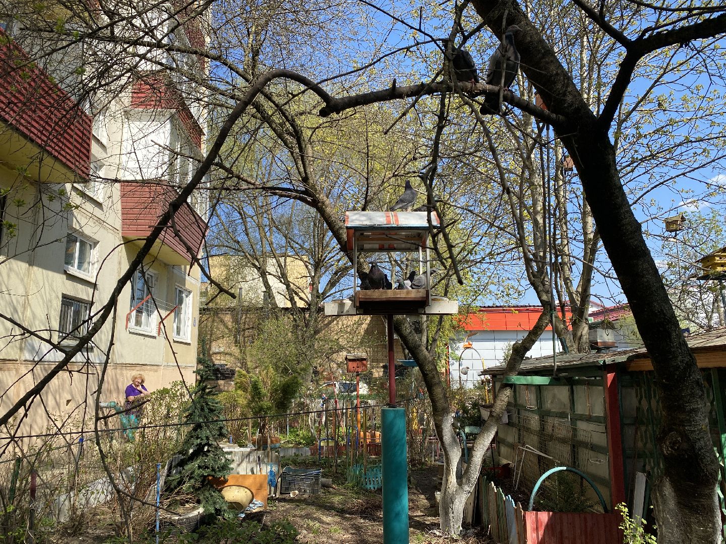 Чехов, благоустройство, дворик, житель, МКД