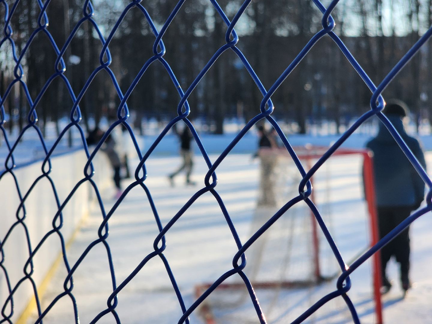 вертикалки, Зарайск, катание на коньках, каток, Парк культуры и отдыха, Выходной с пользой,