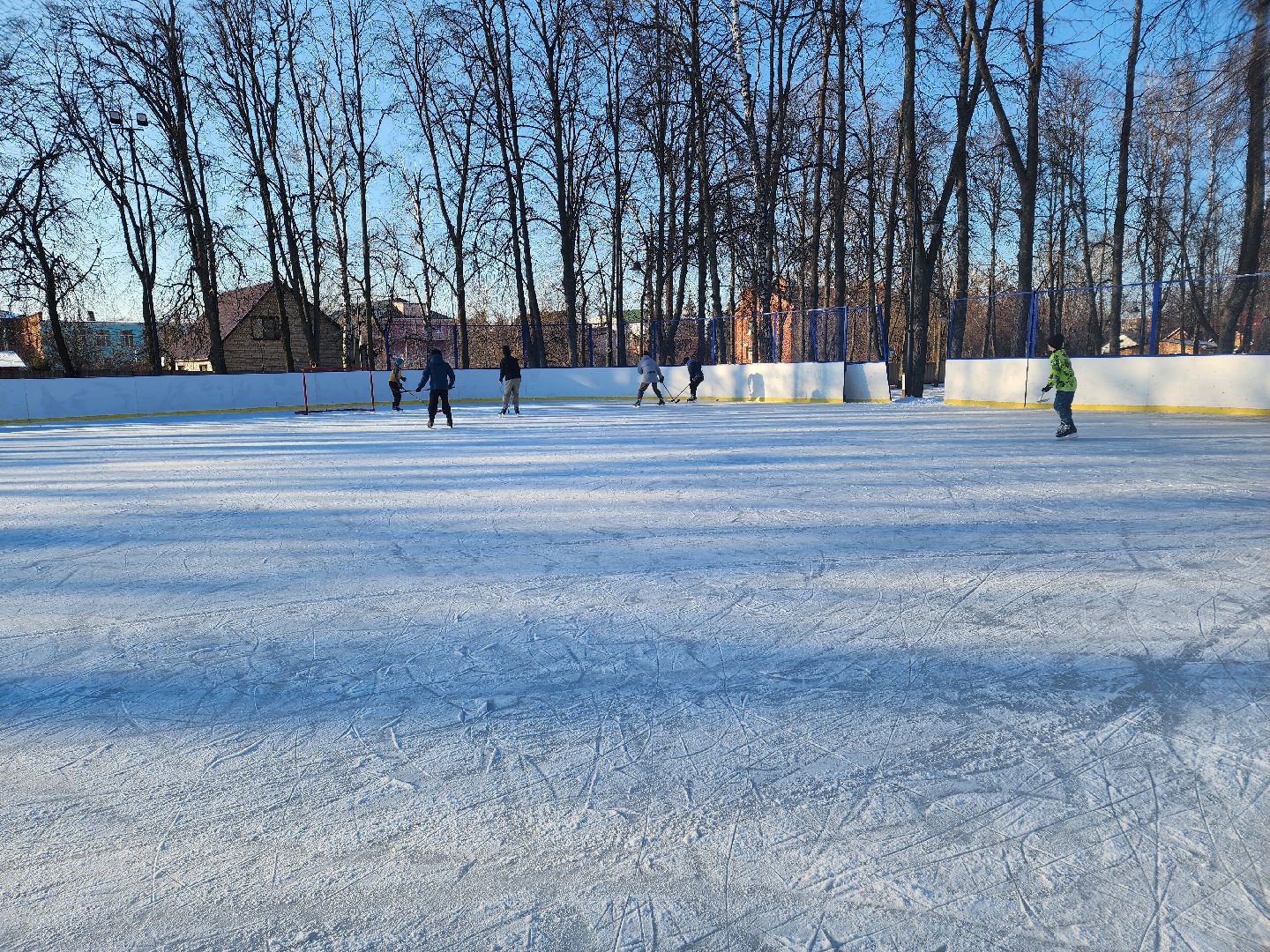 вертикалки, Зарайск, катание на коньках, каток, Парк культуры и отдыха, Выходной с пользой,