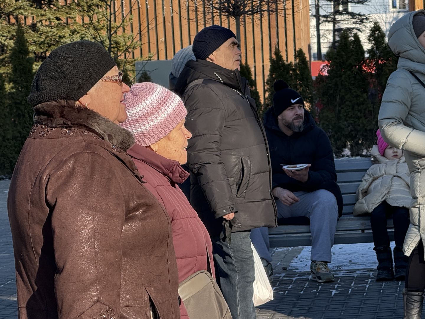 день защитника отечества, парки зимой, праздник, вертикалки,