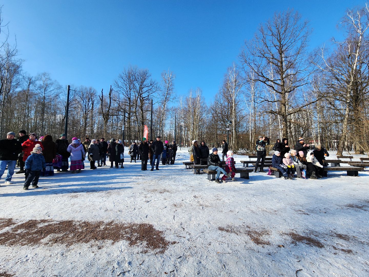 фрязино, день защитника отечества, лесопарк, концерт,