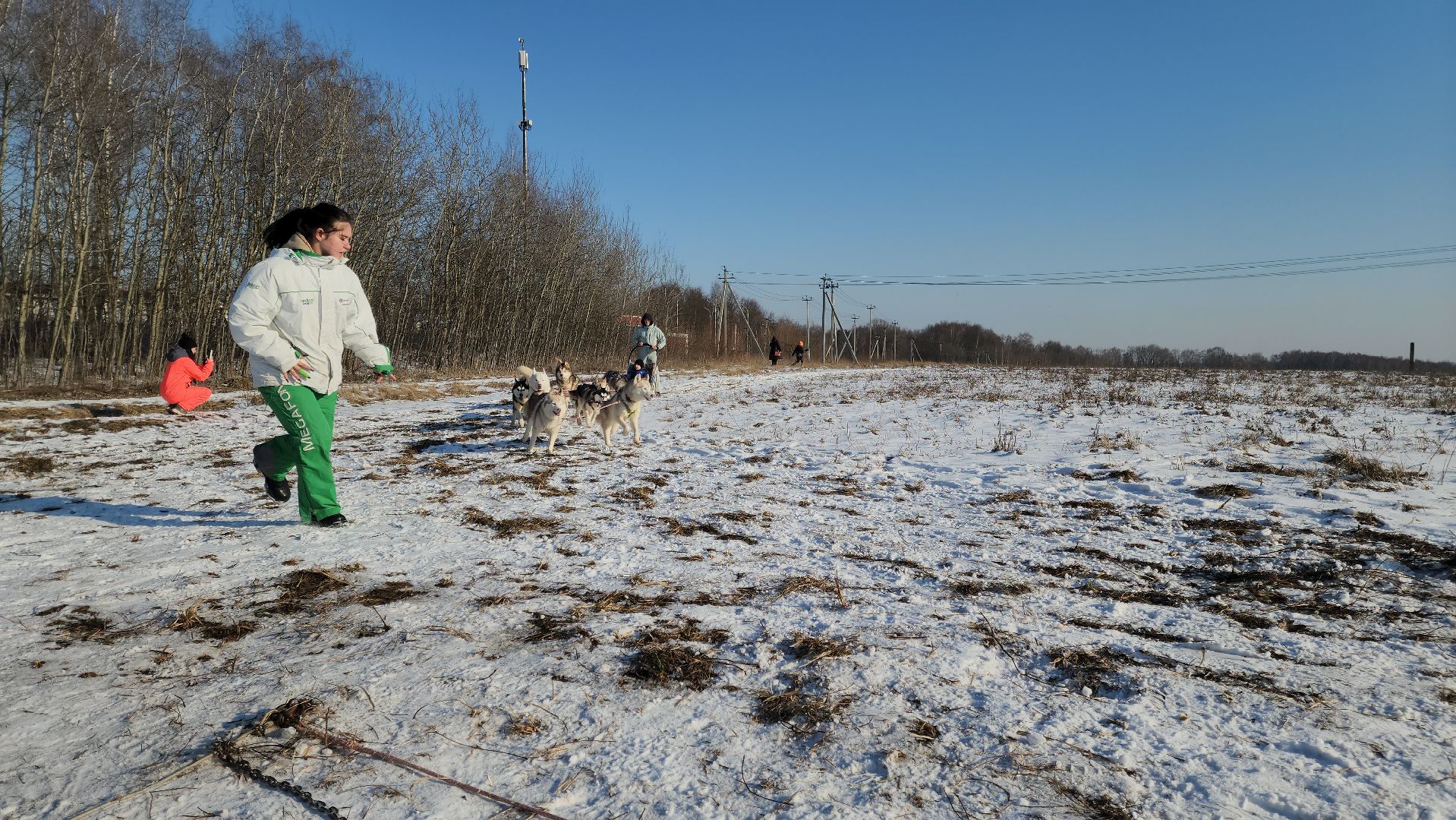 вертикалки,