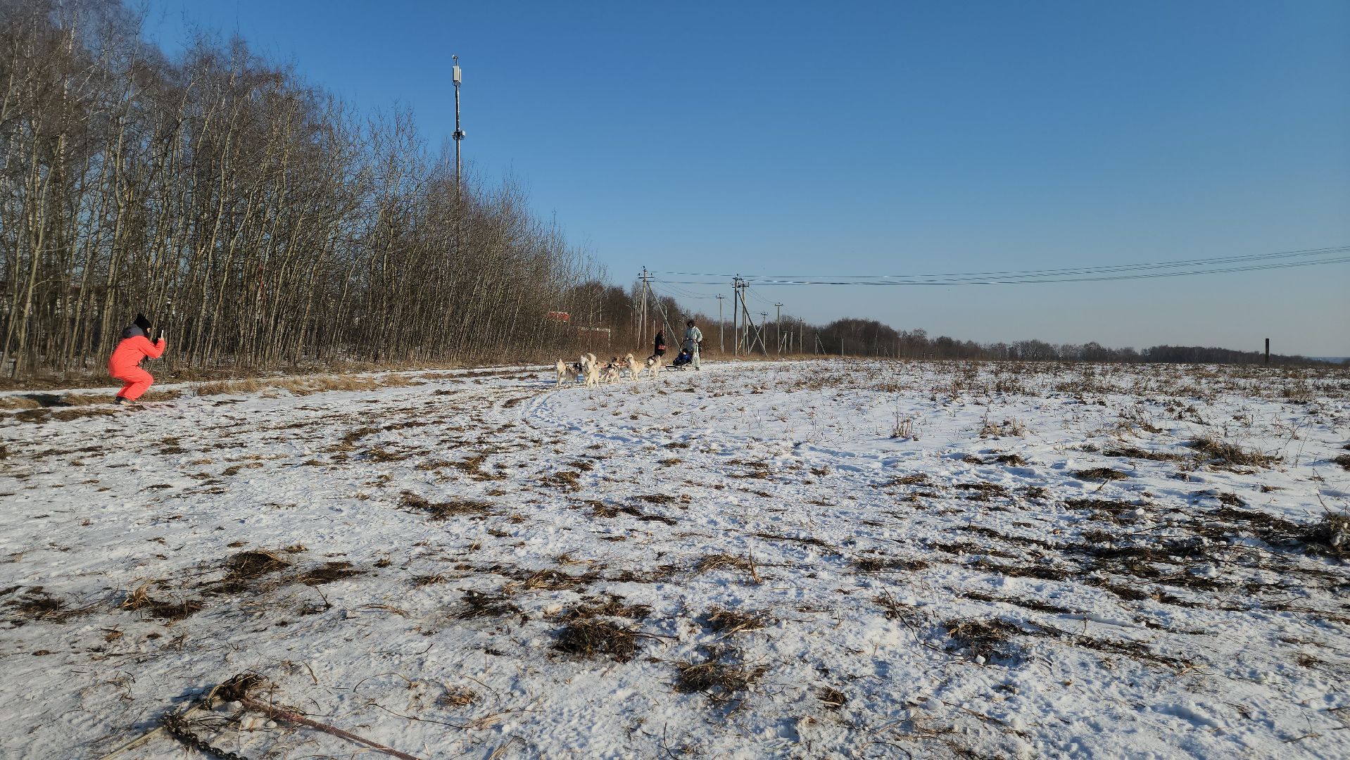 вертикалки,