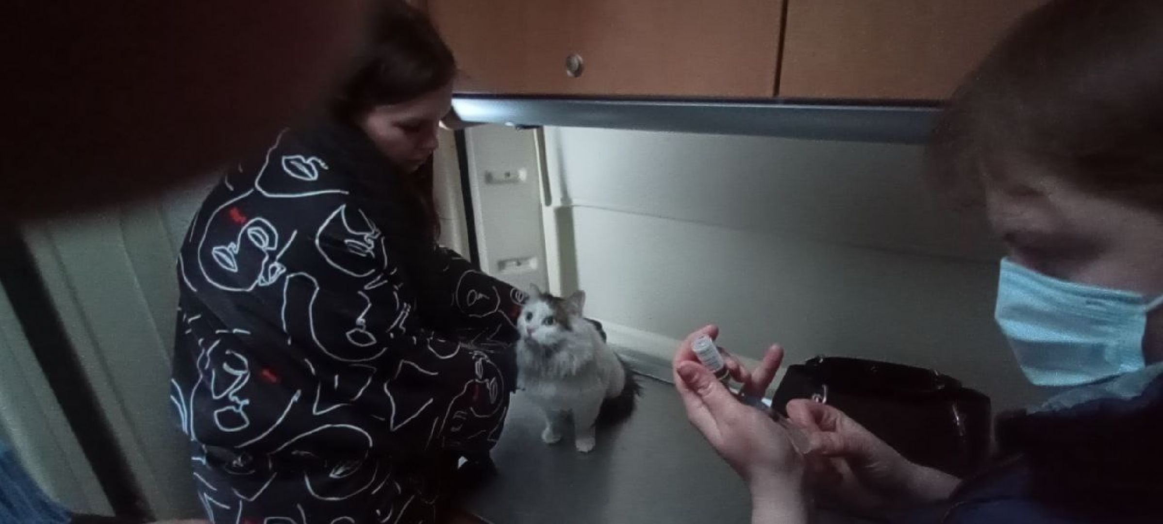 Государственная ветеринарная служба, ветеринар, Наро-Фоминск