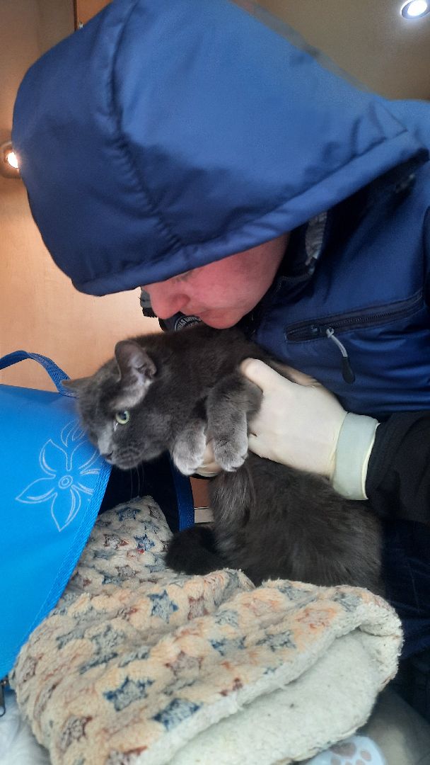 Государственная ветеринарная служба, ветеринар, Наро-Фоминск