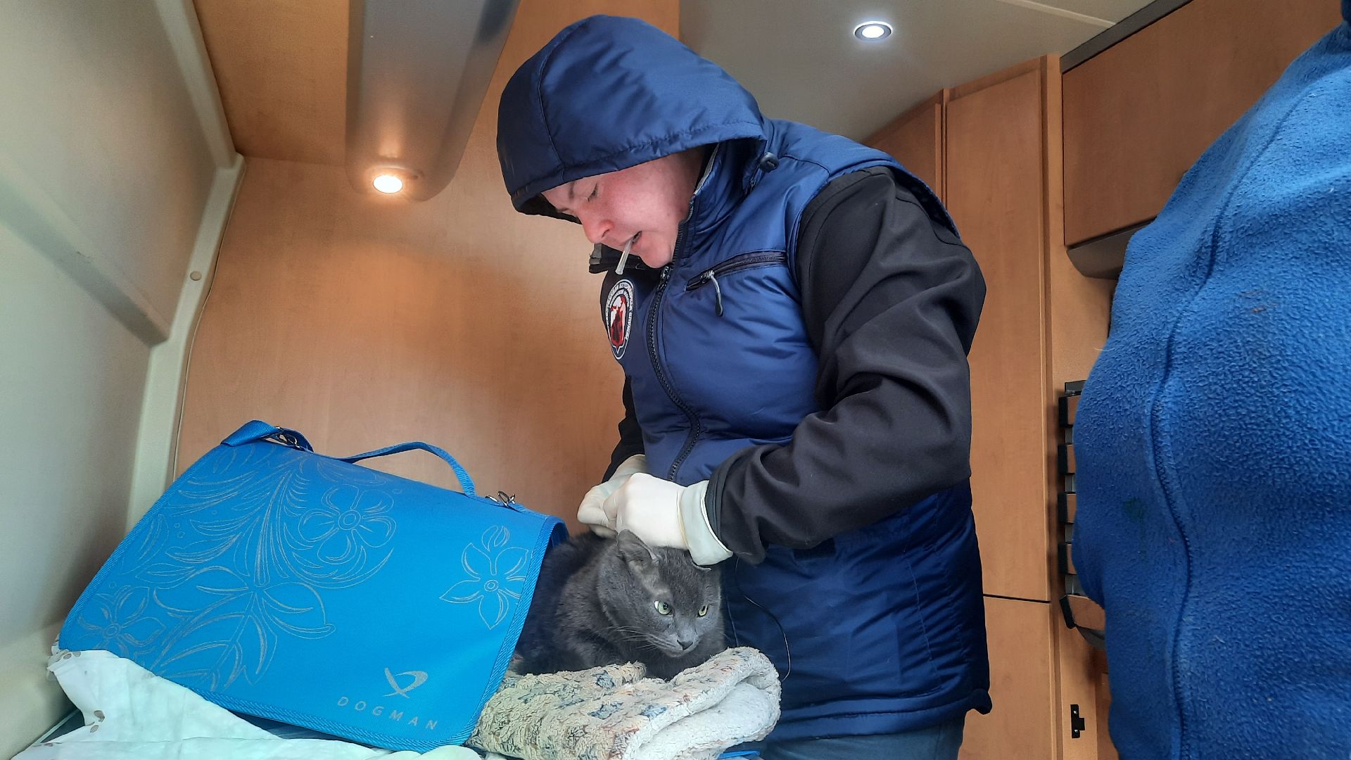 Государственная ветеринарная служба, ветеринар, Наро-Фоминск