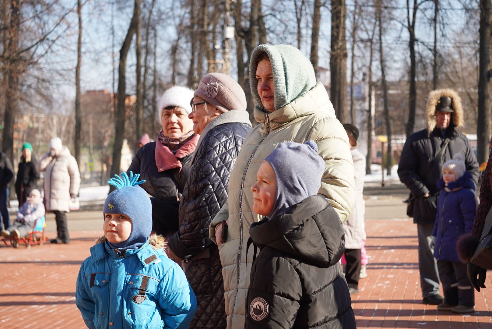 Павловский Посад, вертикалки, Шоу, Парк,