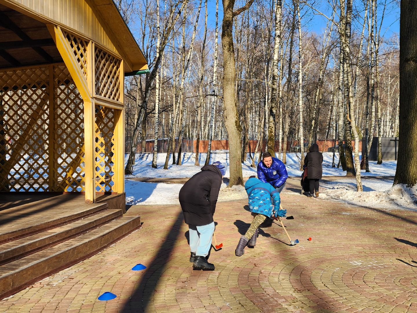 Химки, 23 февраля, День защитника Отечества, вертикалки,