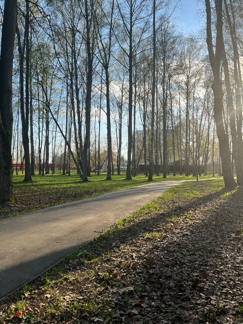 Солнечногорск, чистота, порядок, субботник, жители