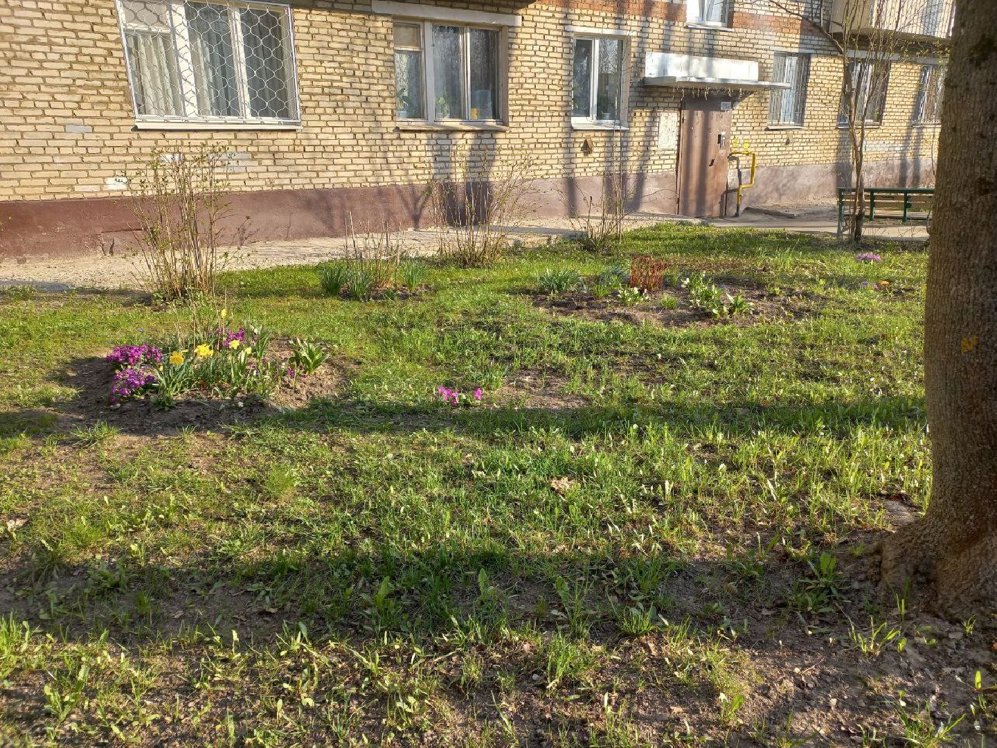 Солнечногорск, чистота, порядок, субботник, жители