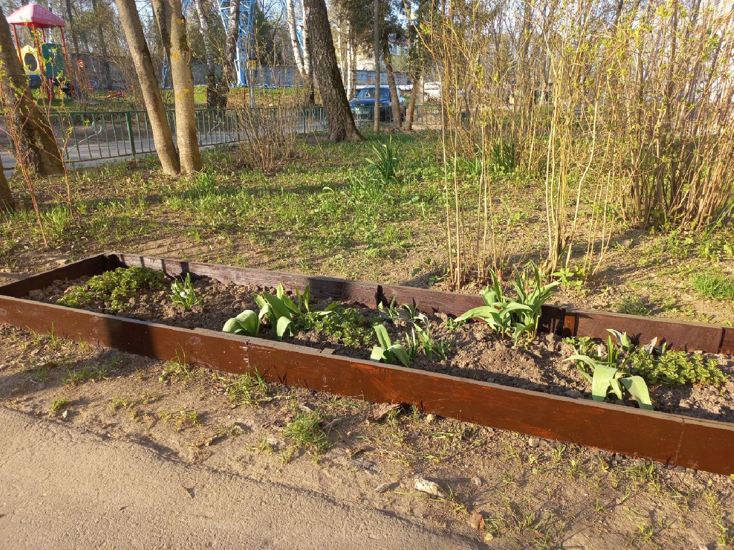 Солнечногорск, чистота, порядок, субботник, жители