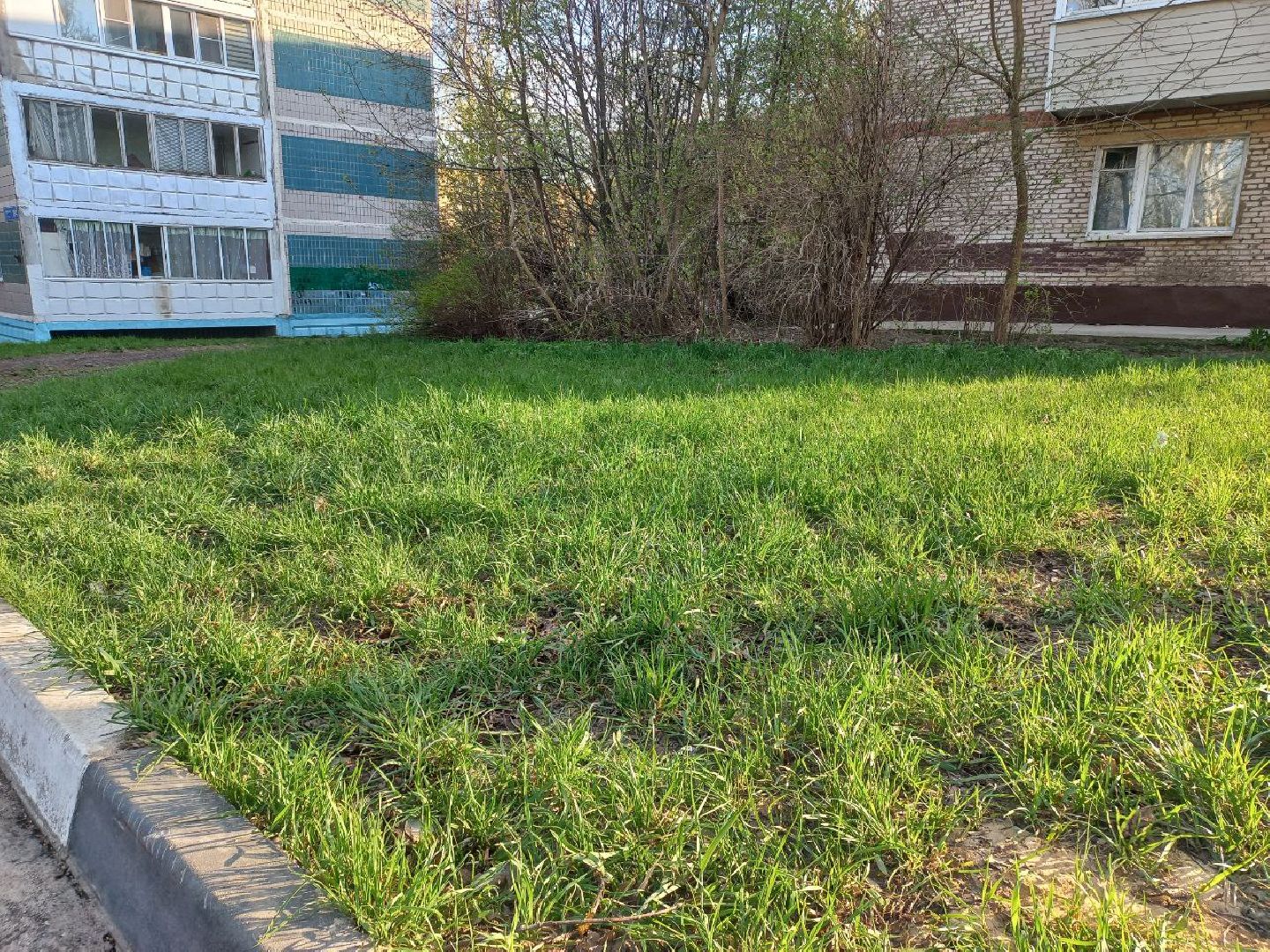 Солнечногорск, чистота, порядок, субботник, жители