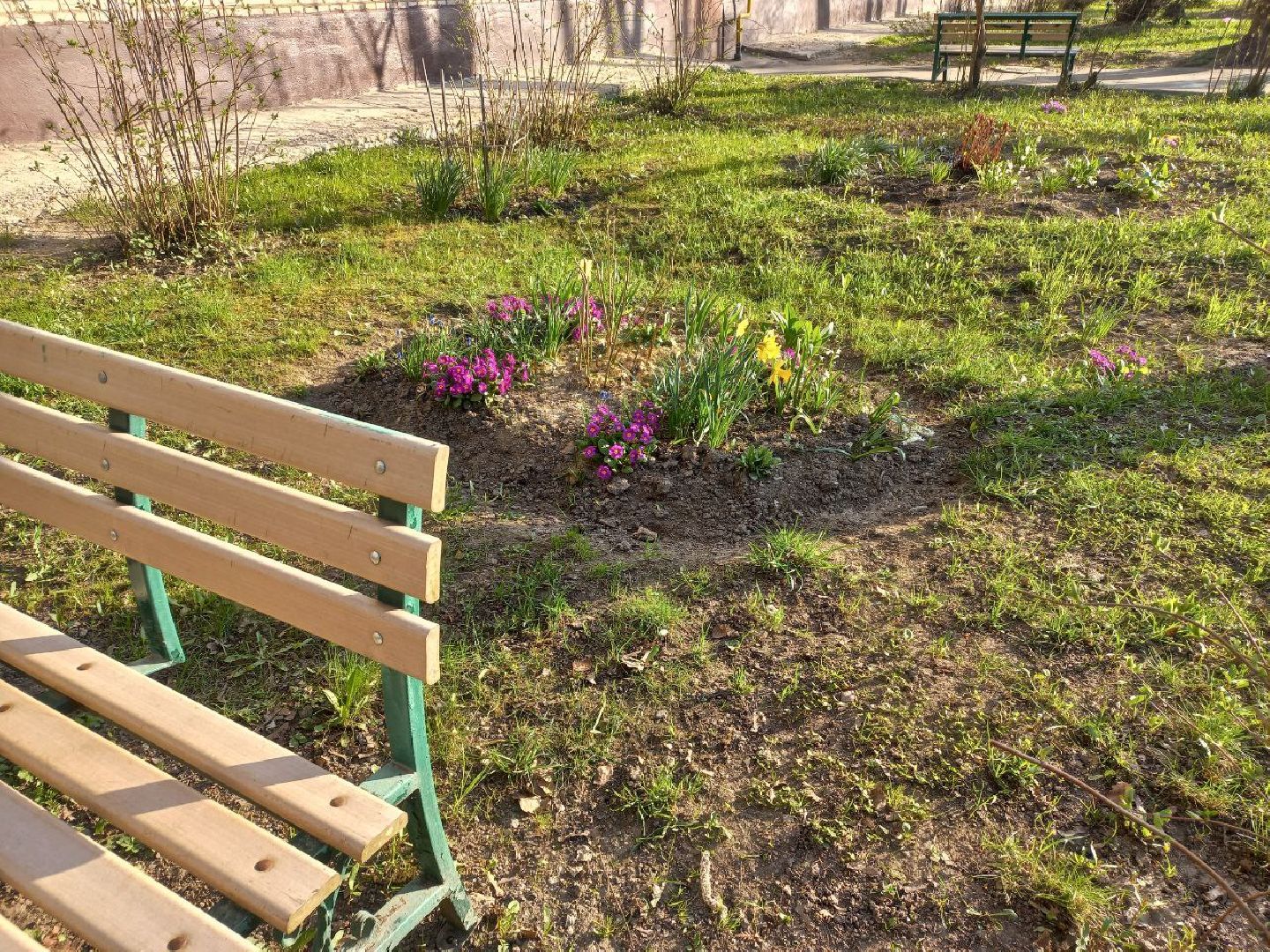 Солнечногорск, чистота, порядок, субботник, жители