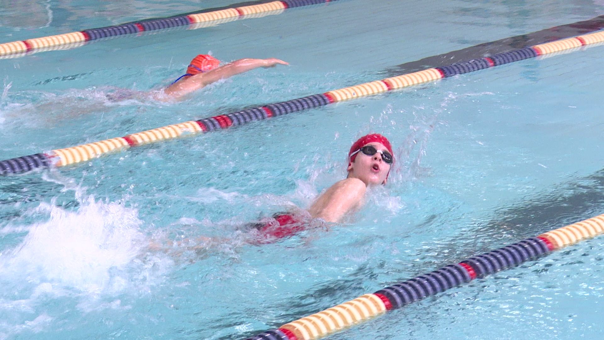 реутов, вертикалки, спорт, плавание, соревнования,