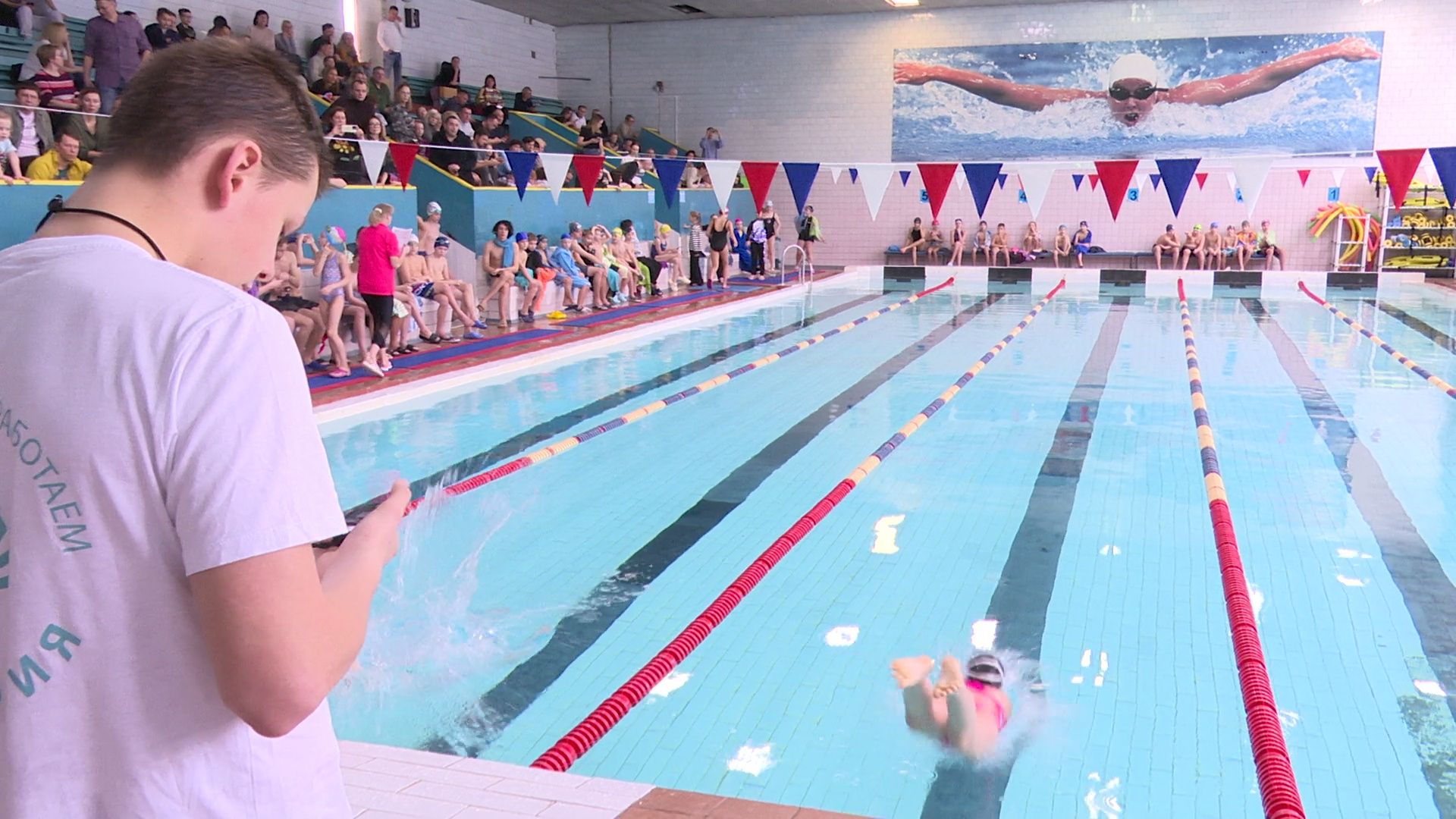 реутов, вертикалки, спорт, плавание, соревнования,