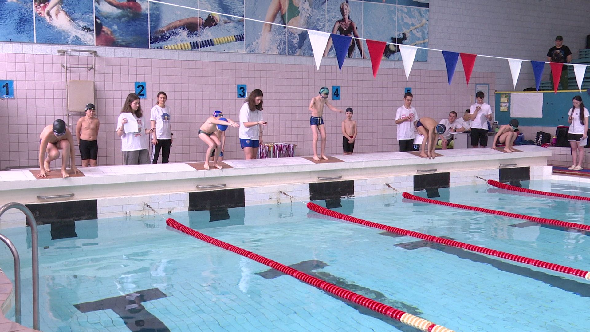 реутов, вертикалки, спорт, плавание, соревнования,