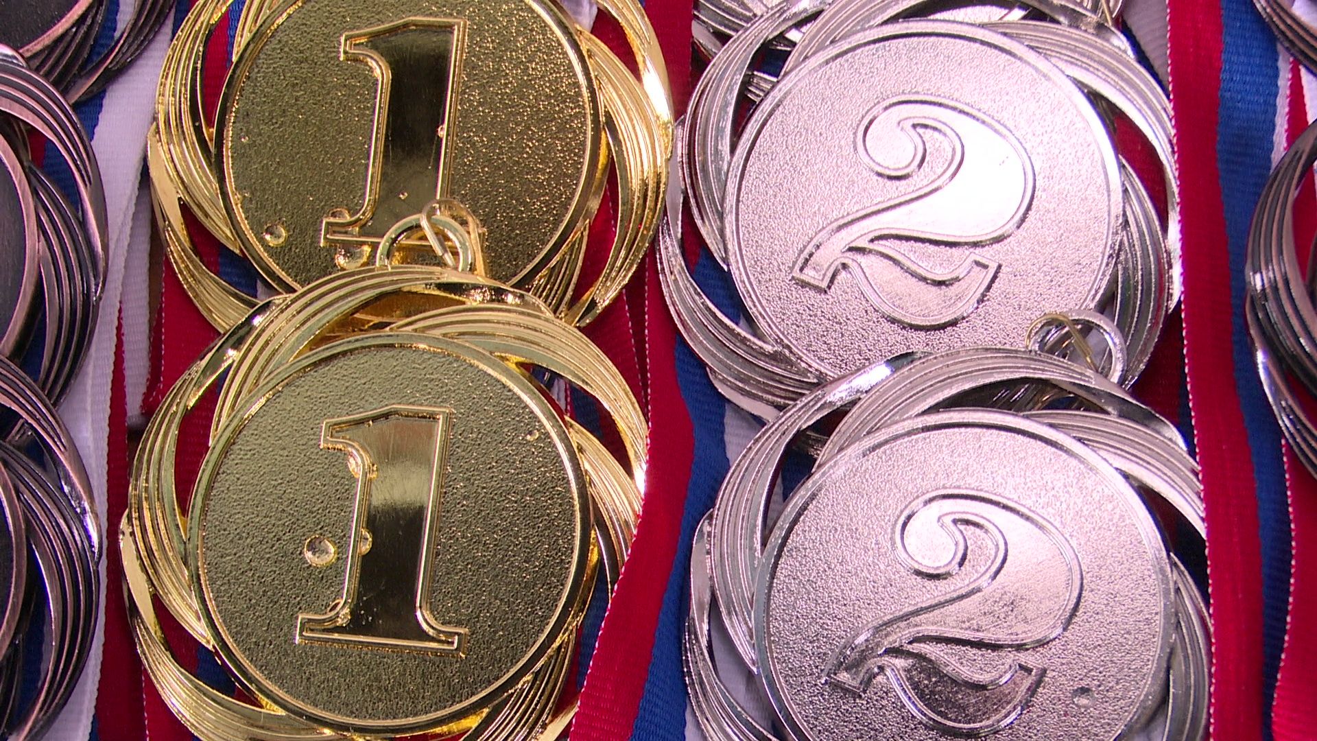 реутов, вертикалки, спорт, плавание, соревнования,