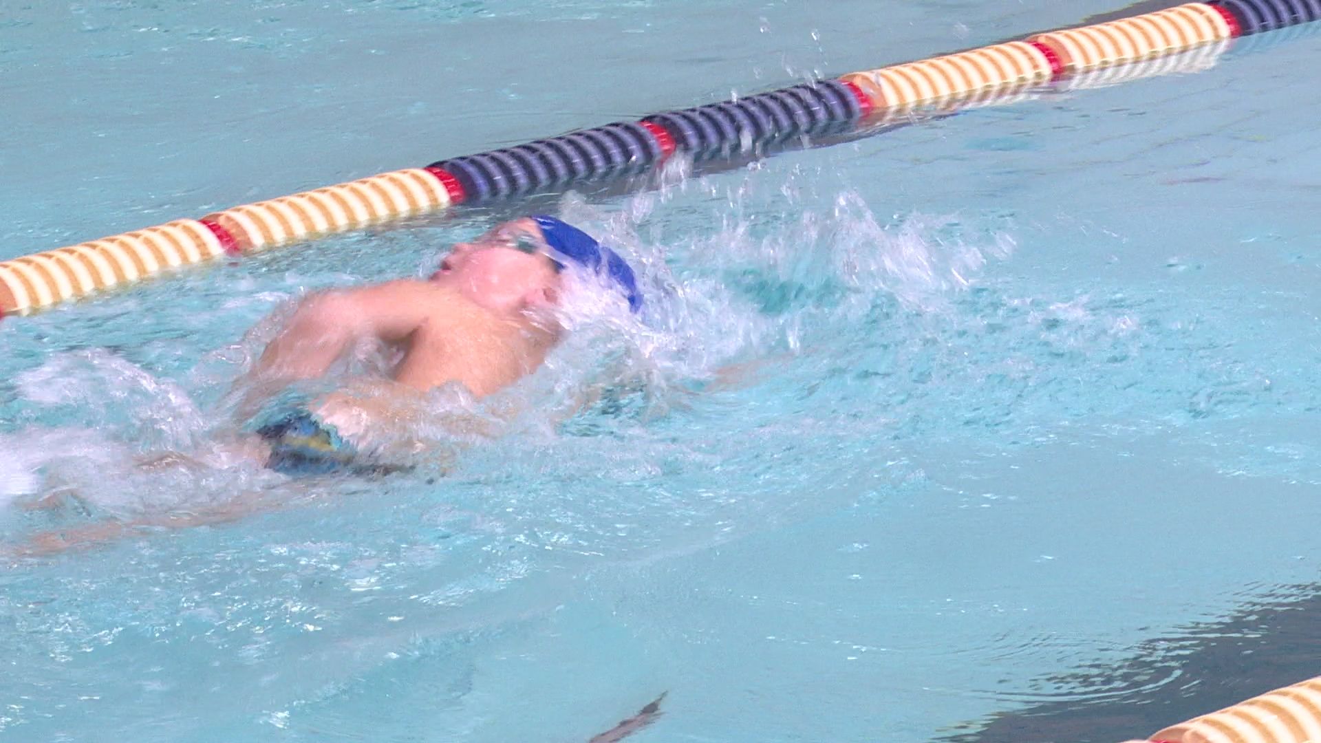 реутов, вертикалки, спорт, плавание, соревнования,