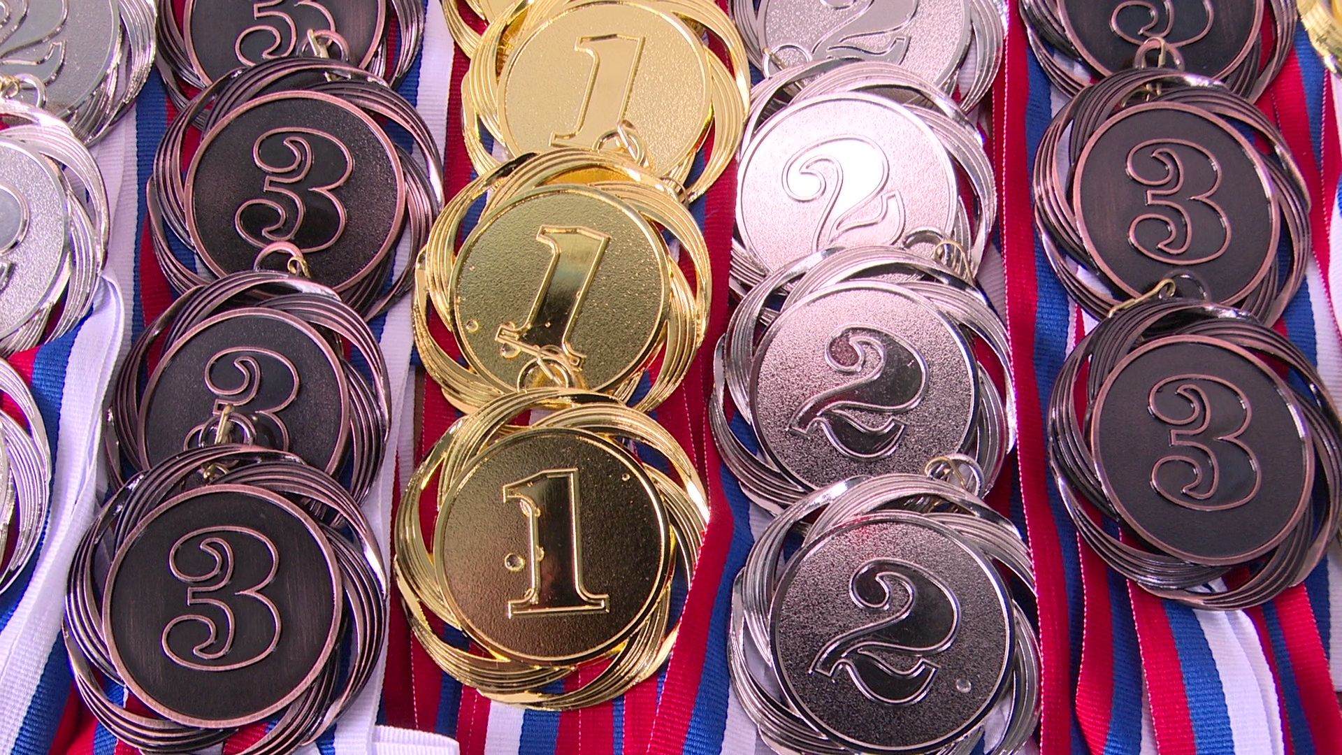 реутов, вертикалки, спорт, плавание, соревнования,