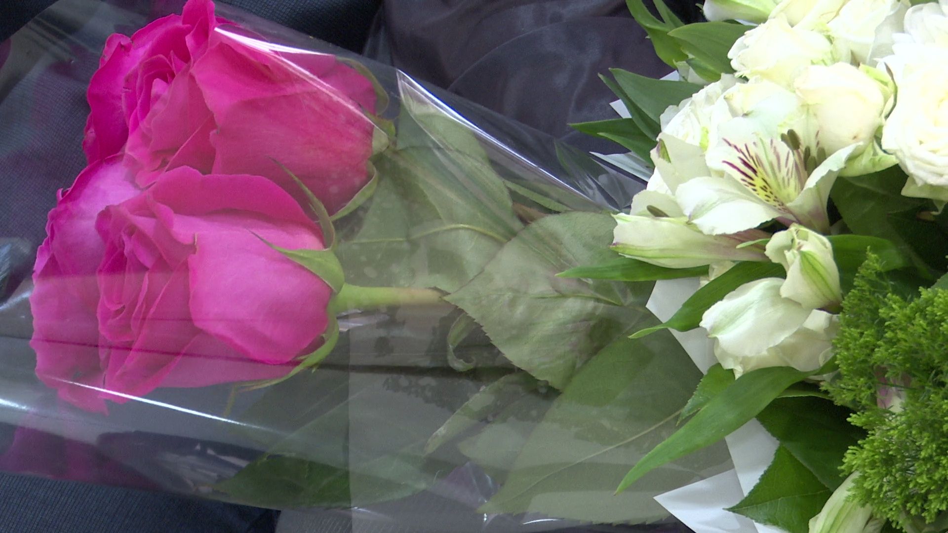 реутов, вертикалки, загс, 50 лет супружеской жизни, золотая свадьба,