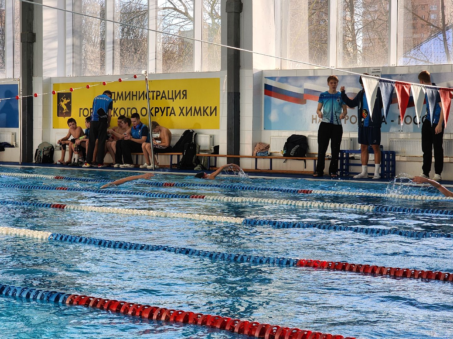 Химки, спорт, плавание, вертикалки,