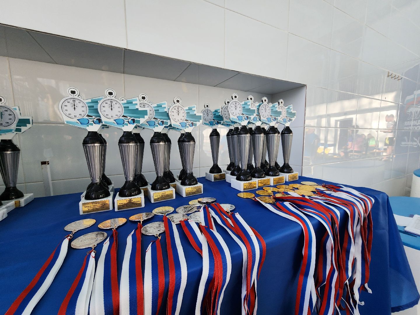 Химки, спорт, плавание, вертикалки,