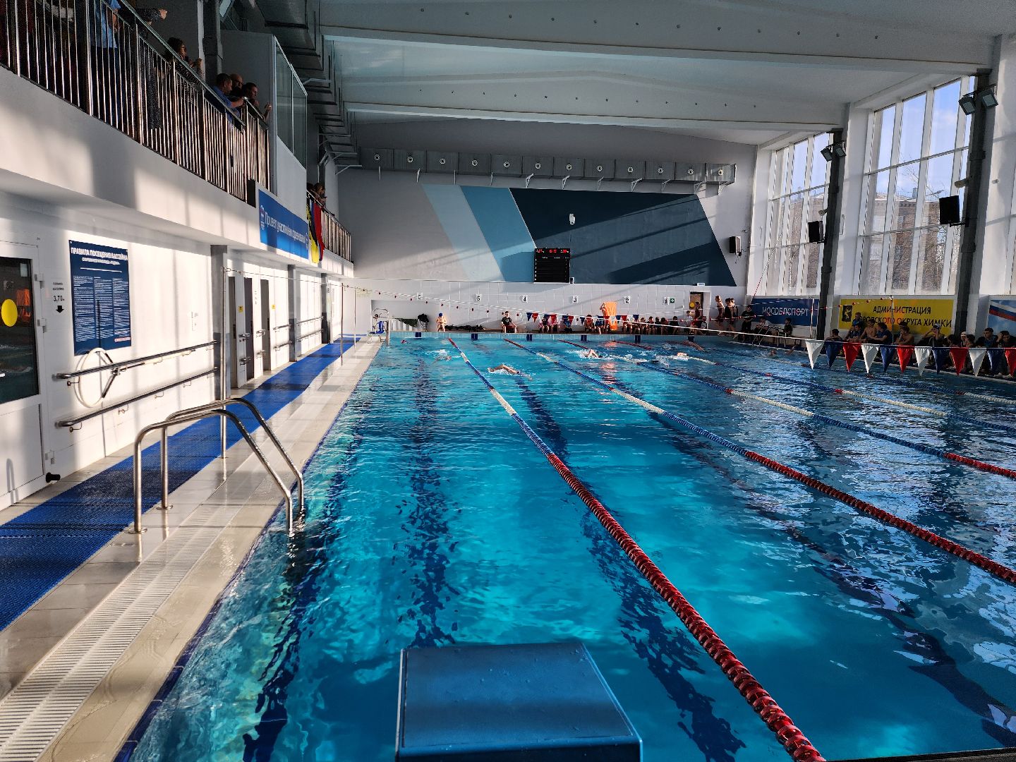 Химки, спорт, плавание, вертикалки,