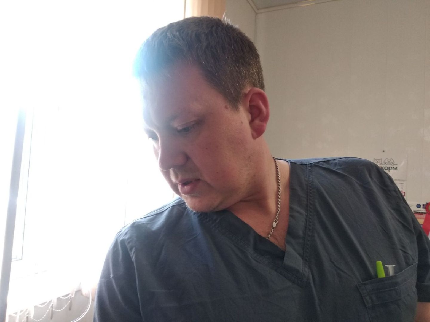 Дмитров, Ветеринарная станция, Общество